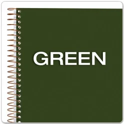 Ampad Gold Fibre Wirebound Project Notes Book, Project-Management Format, Green Cover, (84) 9.5 x 7.25 Sheets, Undated Calendar