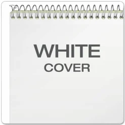 Ampad Steno Pads, Tan Cover, Gregg Rule, (80) Green-Tint 6 x 9 Sheets