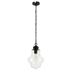 Annie 9.13" Wide Pendant with Glass Shade in Blackened Bronze/Seeded