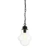 Annie 9.13" Wide Pendant with Glass Shade in Blackened Bronze/Clear