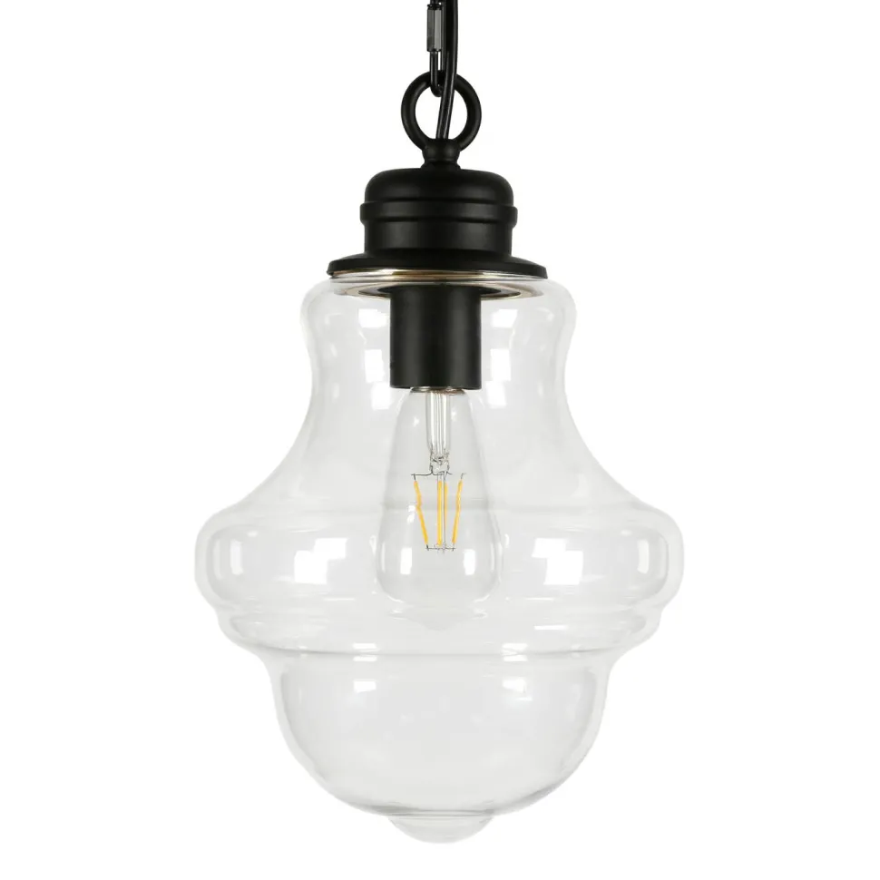 Annie 9.13" Wide Pendant with Glass Shade in Blackened Bronze/Clear
