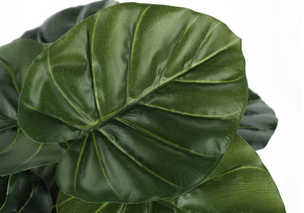 Artificial Plant, 24" Tall, Alocasia, Indoor, Faux, Fake, Table, Greenery, Potted, Real Touch, Decorative, Green Leaves, Black Pot