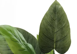 Artificial Plant, 37