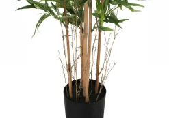 Artificial Plant, 50