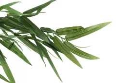 Artificial Plant, 50