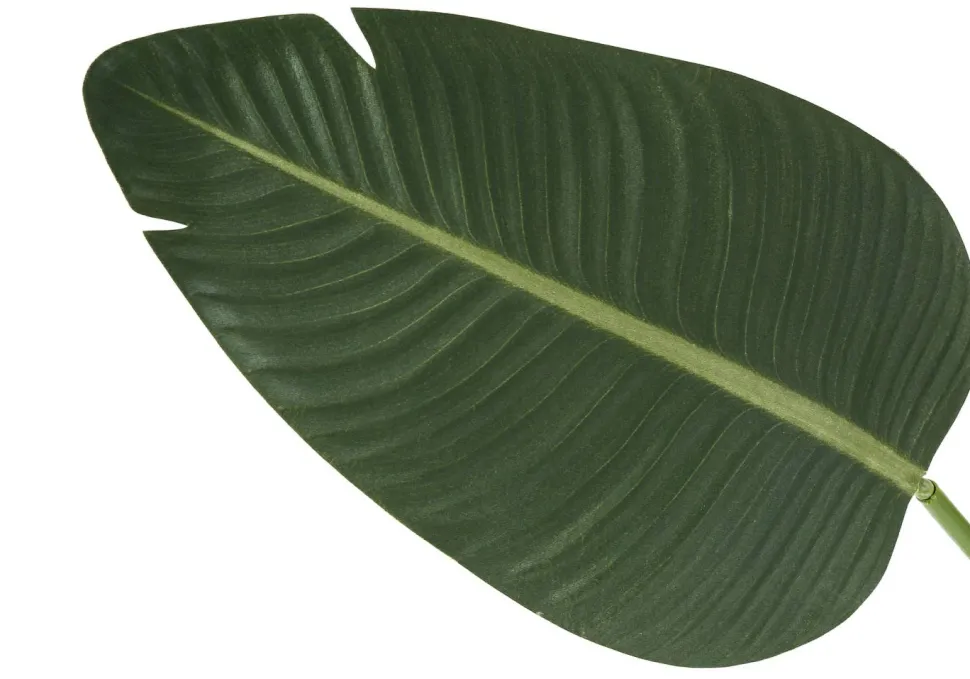 Artificial Plant, 60" Tall, Bird Of Paradise Tree, Indoor, Faux, Fake, Floor, Greenery, Potted, Decorative, Green Leaves, Black Pot