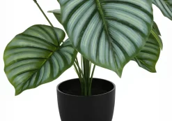 Artificial Plant, 24" Tall, Calathea, Indoor, Faux, Fake, Table, Greenery, Potted, Real Touch, Decorative, Green Leaves, Black Pot