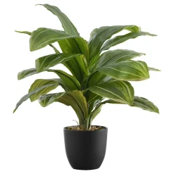 Artificial Plant, 17