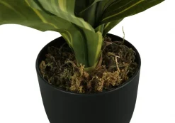 Artificial Plant, 17