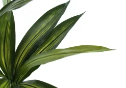 Artificial Plant, 47
