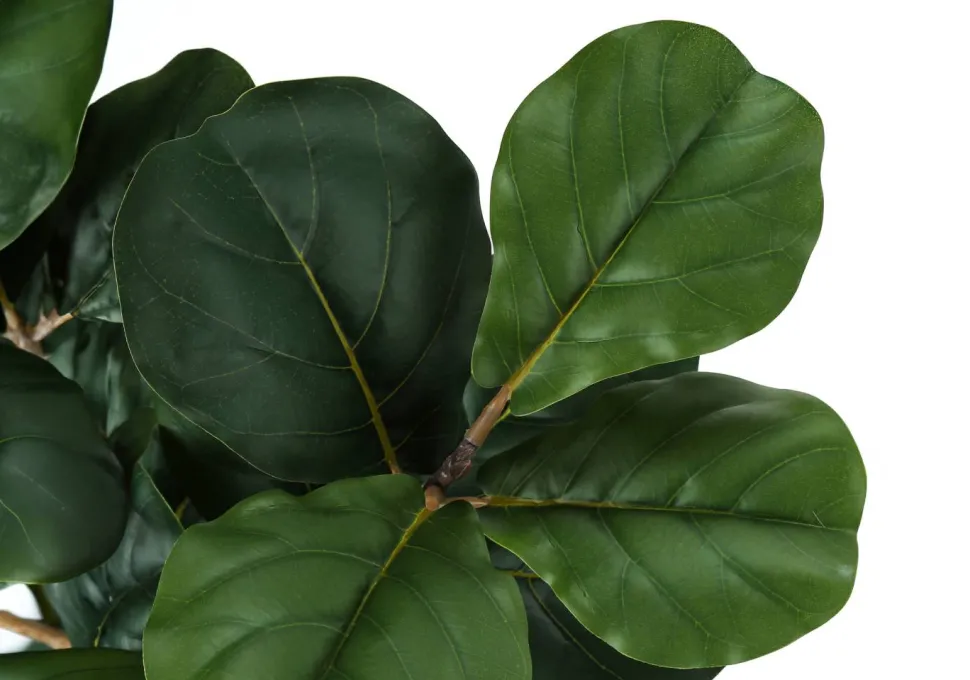 Artificial Plant, 32" Tall, Fiddle Tree, Indoor, Faux, Fake, Floor, Greenery, Potted, Real Touch, Decorative, Green Leaves, Black Pot
