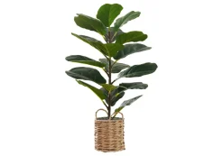 Artificial Plant, 28" Tall, Fiddle Tree, Indoor, Faux, Fake, Floor, Greenery, Potted, Real Touch, Decorative, Green Leaves, Beige Woven Basket