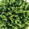 Artificial Plant, 5" Tall, Grass, Indoor, Faux, Fake, Table, Greenery, Potted, Set Of 3, Decorative, Green Plants, Grey Pots