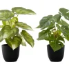 Artificial Plant, 13" Tall, Monstera Calthea, Indoor, Faux, Fake, Table, Greenery, Potted, Set Of 2, Decorative, Green Leaves, Black Pots