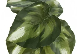 Artificial Plant, 13