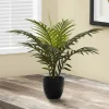 Artificial Plant, 20" Tall, Palm, Indoor, Faux, Fake, Table, Greenery, Potted, Real Touch, Decorative, Green Leaves, Black Pot