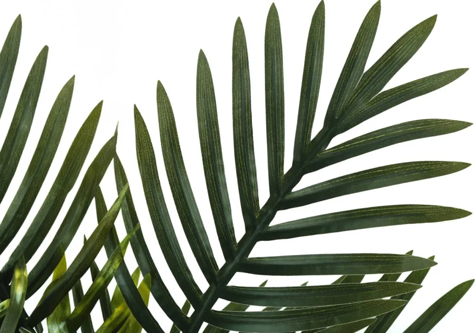 Artificial Plant, 20" Tall, Palm, Indoor, Faux, Fake, Table, Greenery, Potted, Real Touch, Decorative, Green Leaves, Black Pot