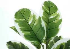 Artificial Plant, 27