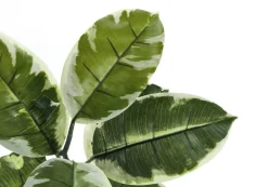 Artificial Plant, 52" Tall, Rubber Tree, Indoor, Faux, Fake, Floor, Greenery, Potted, Real Touch, Decorative, Green Leaves, Black Pot