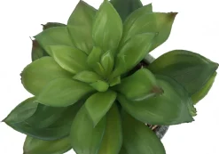 Artificial Plant, 6" Tall, Succulent, Indoor, Faux, Fake, Table, Greenery, Potted, Set Of 2, Decorative, Green Leaves, Grey Cement Pots