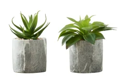 Artificial Plant, 6