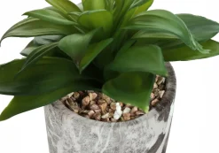 Artificial Plant, 6