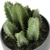 Artificial Plant, 6" Tall, Succulent, Indoor, Faux, Fake, Table, Greenery, Potted, Set Of 3, Decorative, Green Plants, Grey Cement Pots