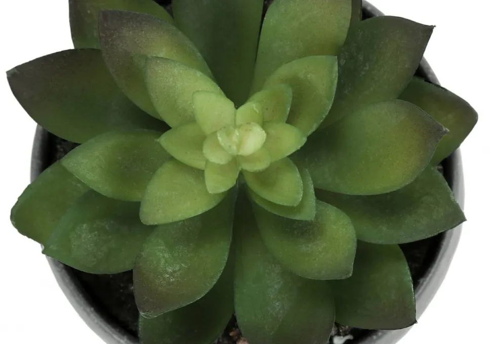 Artificial Plant, 6" Tall, Succulent, Indoor, Faux, Fake, Table, Greenery, Potted, Set Of 3, Decorative, Green Plants, Grey Cement Pots