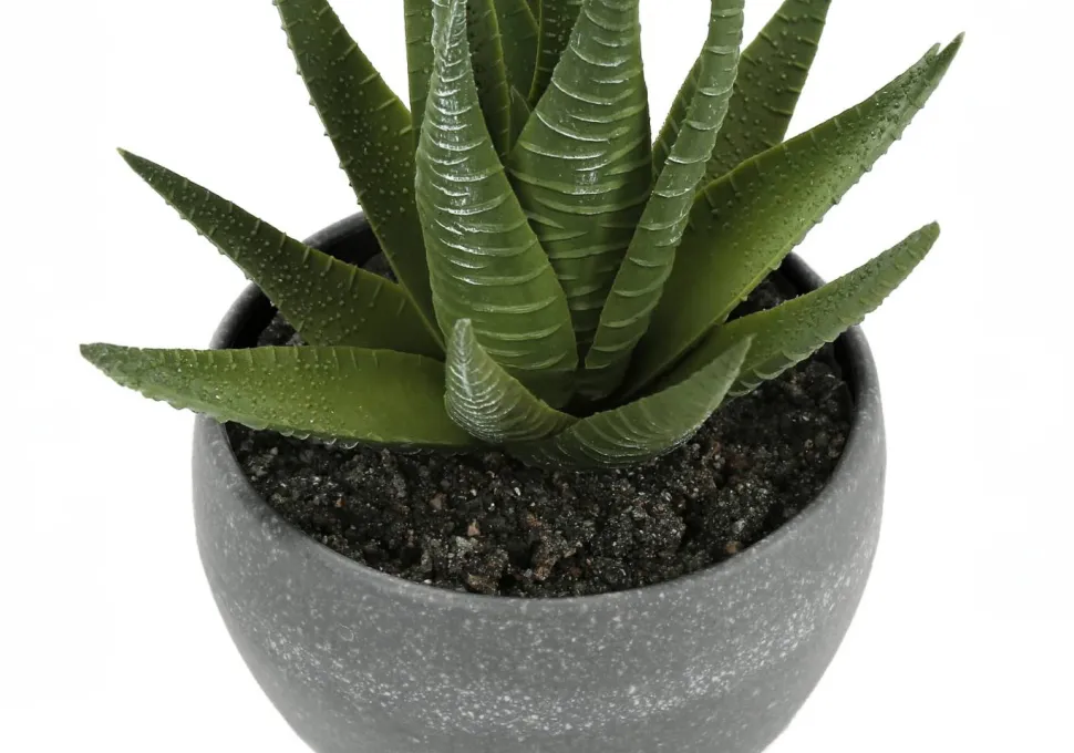 Artificial Plant, 6" Tall, Succulent, Indoor, Faux, Fake, Table, Greenery, Potted, Set Of 3, Decorative, Green Plants, Grey Cement Pots