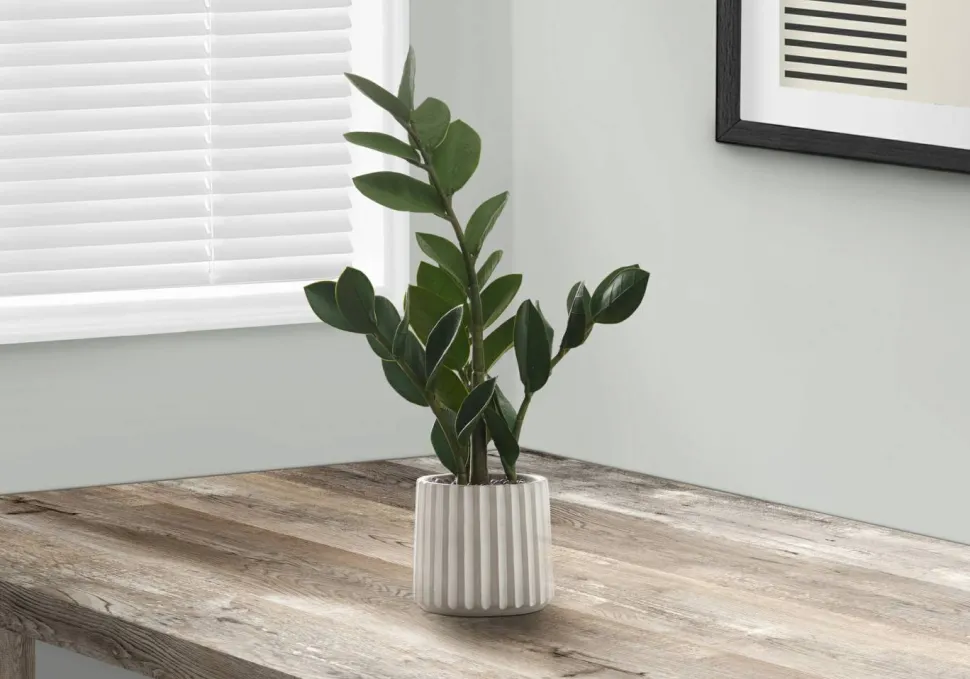 Artificial Plant, 20" Tall, Zz, Indoor, Faux, Fake, Table, Greenery, Potted, Real Touch, Decorative, Green Leaves, Grey Cement Pot