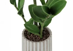 Artificial Plant, 20" Tall, Zz, Indoor, Faux, Fake, Table, Greenery, Potted, Real Touch, Decorative, Green Leaves, Grey Cement Pot