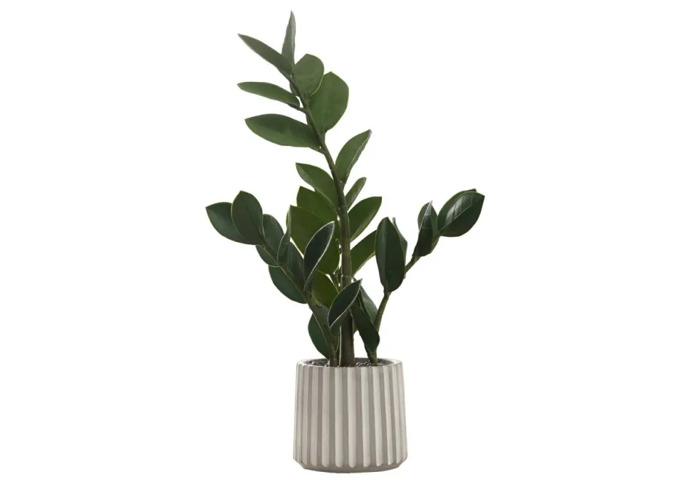 Artificial Plant, 20" Tall, Zz, Indoor, Faux, Fake, Table, Greenery, Potted, Real Touch, Decorative, Green Leaves, Grey Cement Pot