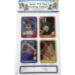 Ashley Smart Poly Picture Emotions Mini Set