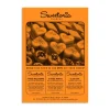 Astrobrights Color Paper - Cosmic Orange