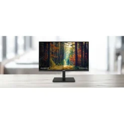 Asus VA24DQSB 24