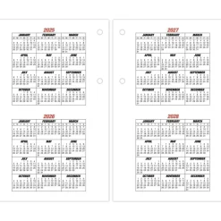 AT-A-GLANCE Burkhart's Day Counter Desk Calendar Refill, 4.5 x 7.38, White Sheets, 12-Month (Jan to Dec): 2027, 2027 Calendar