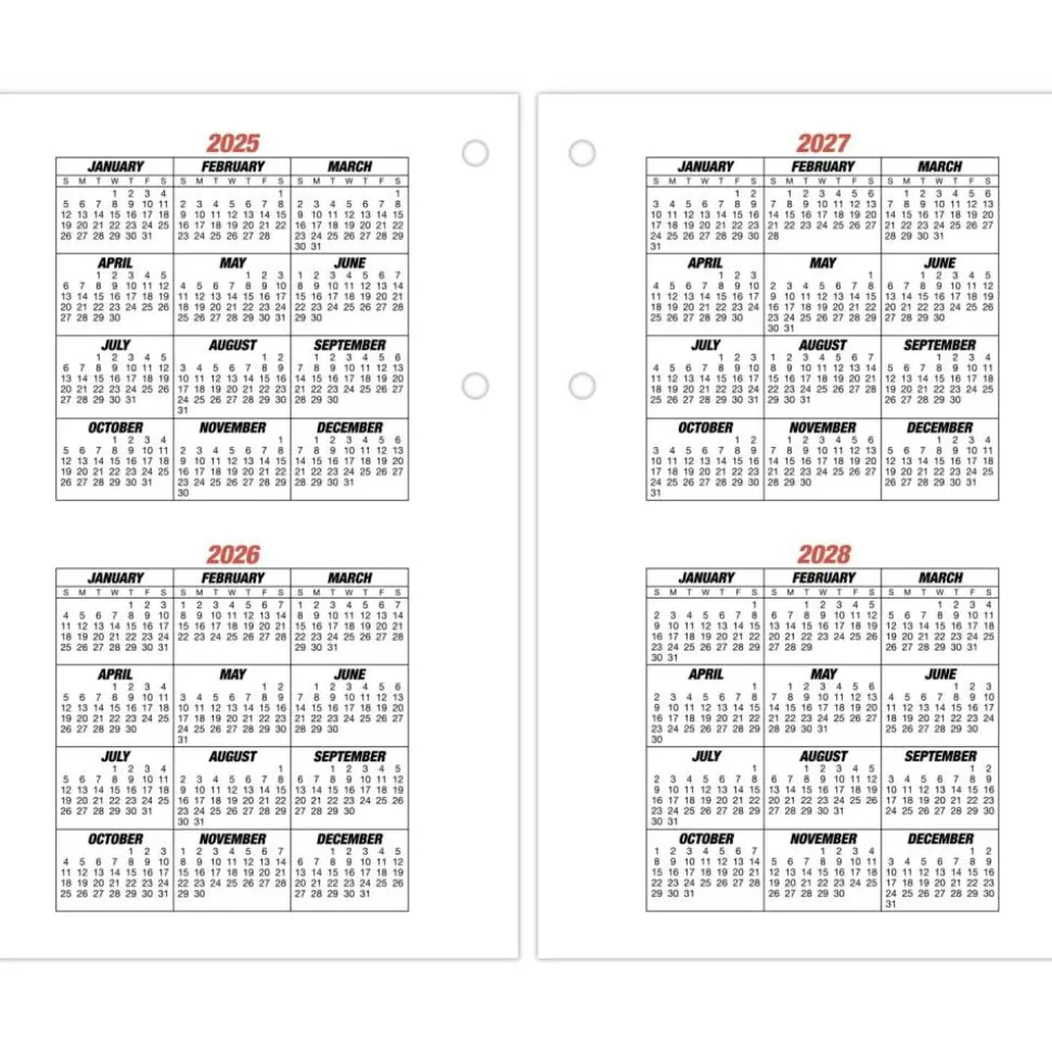 AT-A-GLANCE Burkhart's Day Counter Desk Calendar Refill, 4.5 x 7.38, White Sheets, 12-Month (Jan to Dec): 2027, 2027 Calendar