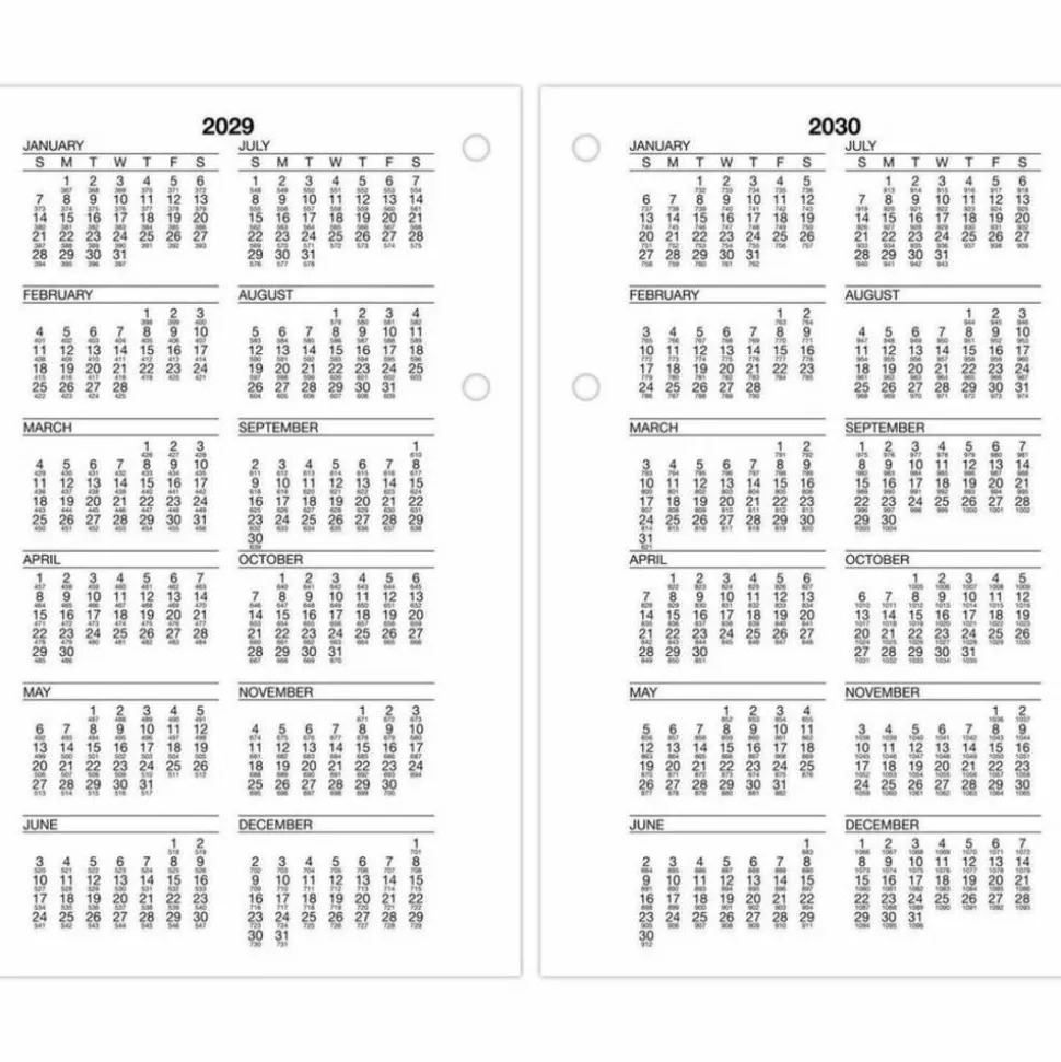 AT-A-GLANCE Burkhart's Day Counter Desk Calendar Refill, 4.5 x 7.38, White Sheets, 12-Month (Jan to Dec): 2027, 2027 Calendar