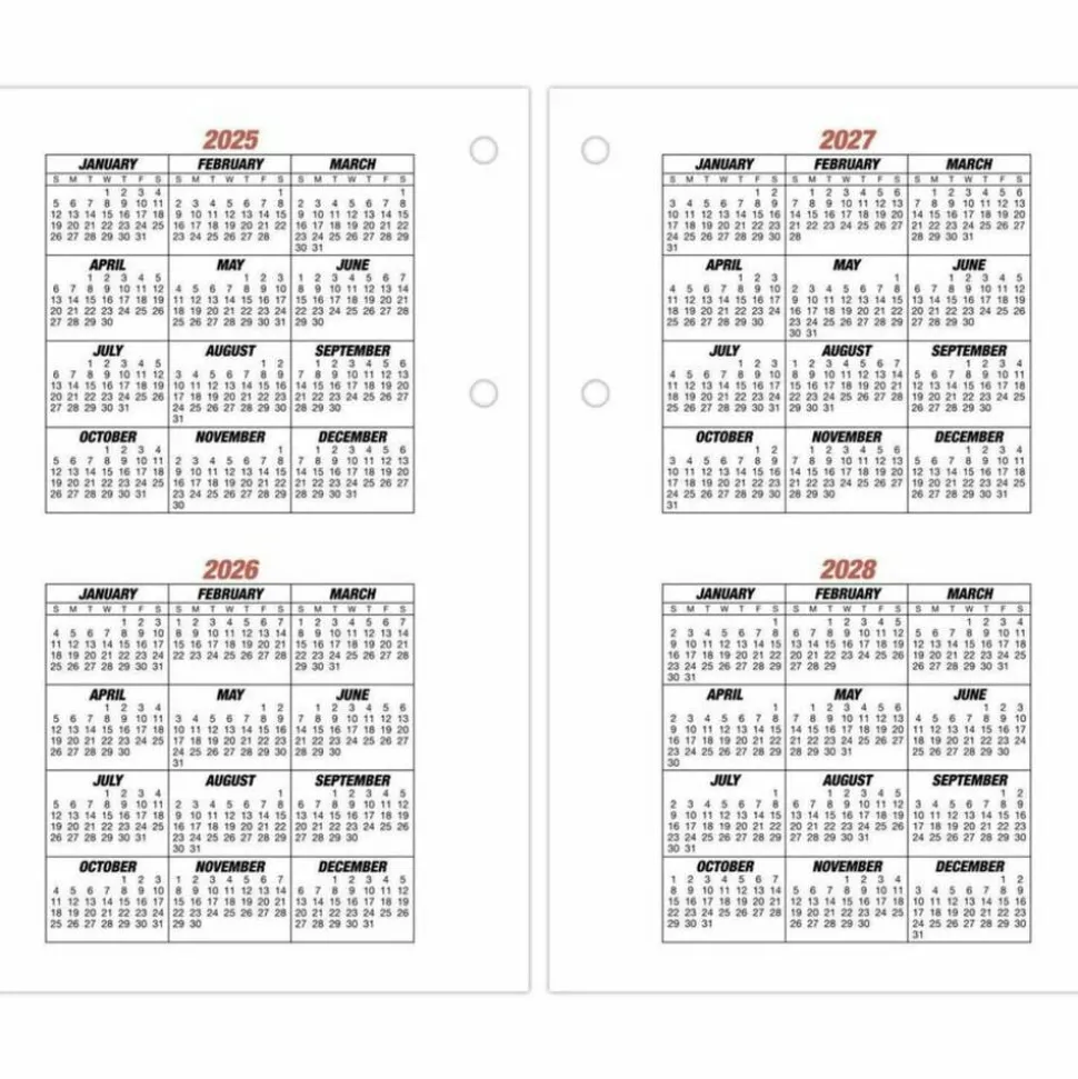 AT-A-GLANCE Burkhart's Day Counter Desk Calendar Refill, 4.5 x 7.38, White Sheets, 12-Month (Jan to Dec): 2027, 2027 Calendar