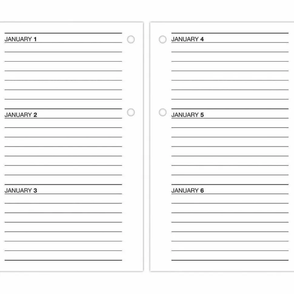 AT-A-GLANCE 2026 Daily Loose-Leaf Desk Calendar Refill, Standard, 3 1/2" x 6", 2027 Calendar