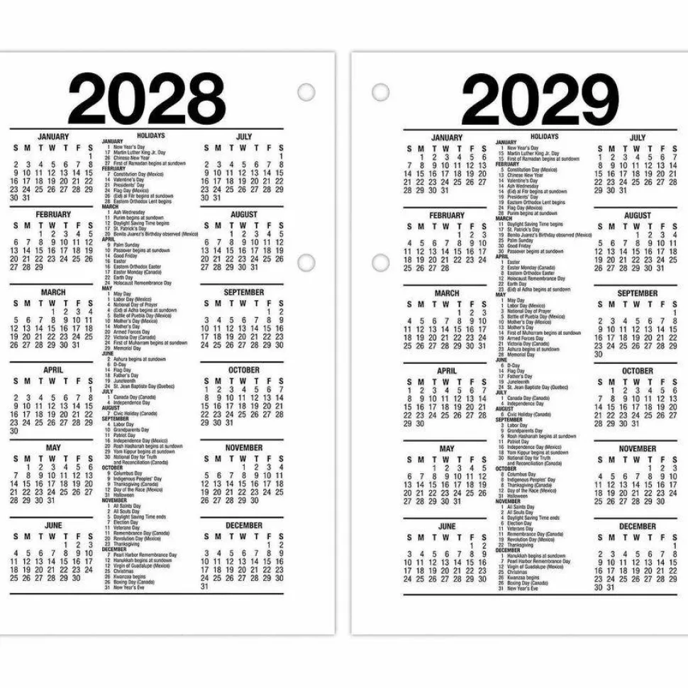 AT-A-GLANCE 2026 Daily Loose-Leaf Desk Calendar Refill, Standard, 3 1/2" x 6", 2027 Calendar