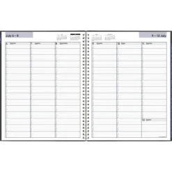 AT-A-GLANCE DayMinder Academic 2026-2027 Weekly Monthly Appointment Book Planner, Charcoal, Large, 8 1/2