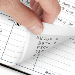 AT-A-GLANCE DayMinder Hard-Cover Monthly Planner, Ruled Blocks, 11.75 x 8, Black Cover, 14-Month: Dec 2026 to Jan 2028, 2027 Calendar