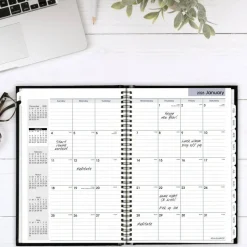 AT-A-GLANCE DayMinder Hard-Cover Monthly Planner, Ruled Blocks, 11.75 x 8, Black Cover, 14-Month: Dec 2026 to Jan 2028, 2027 Calendar