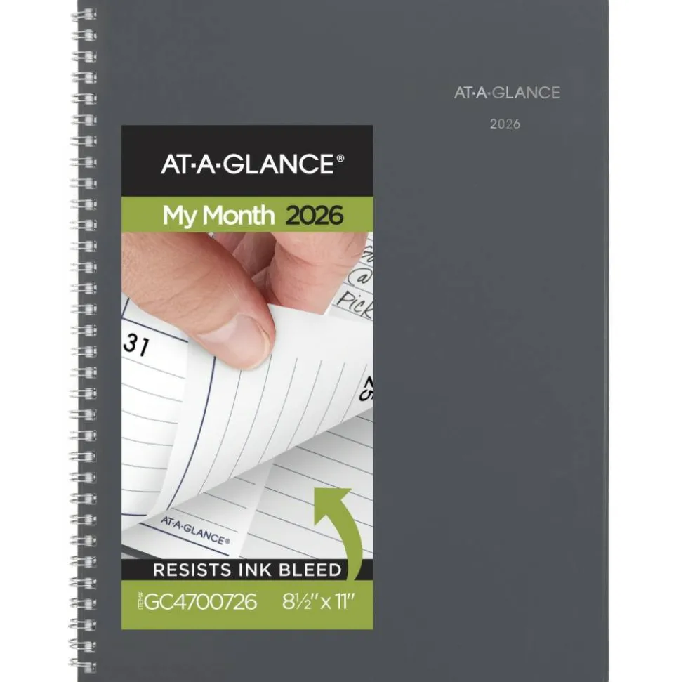 AT-A-GLANCE DayMinder 2027 Monthly Planner, Gray, Large, 8 1/2" x 11", 2027 Calendar