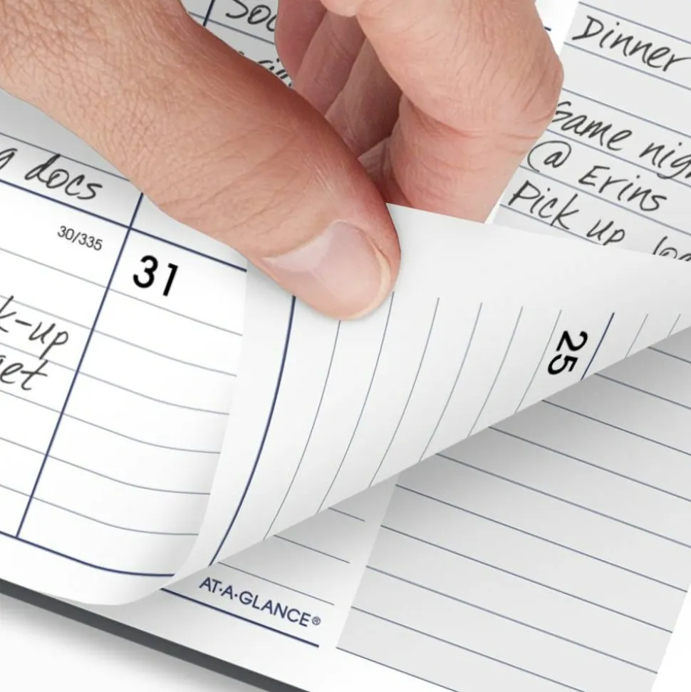 AT-A-GLANCE DayMinder 2027 Monthly Planner, Gray, Large, 8 1/2" x 11", 2027 Calendar