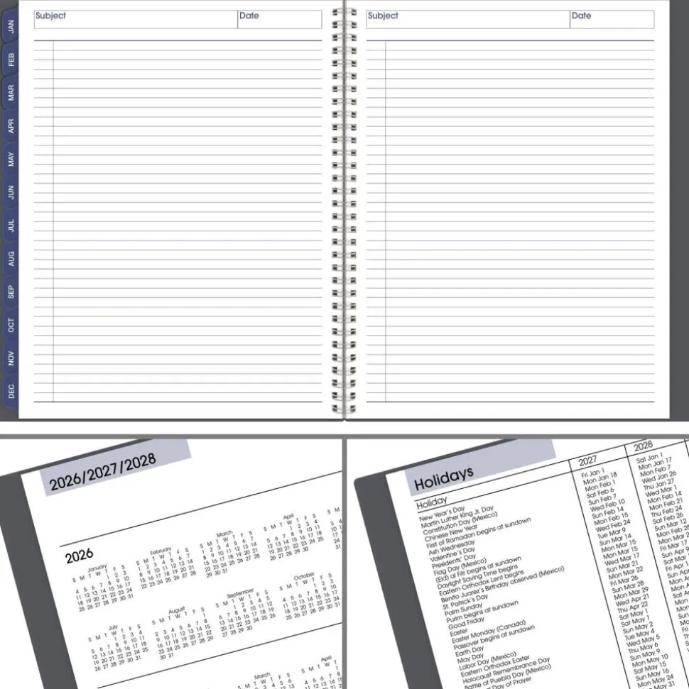 AT-A-GLANCE DayMinder 2027 Monthly Planner, Gray, Large, 8 1/2" x 11"