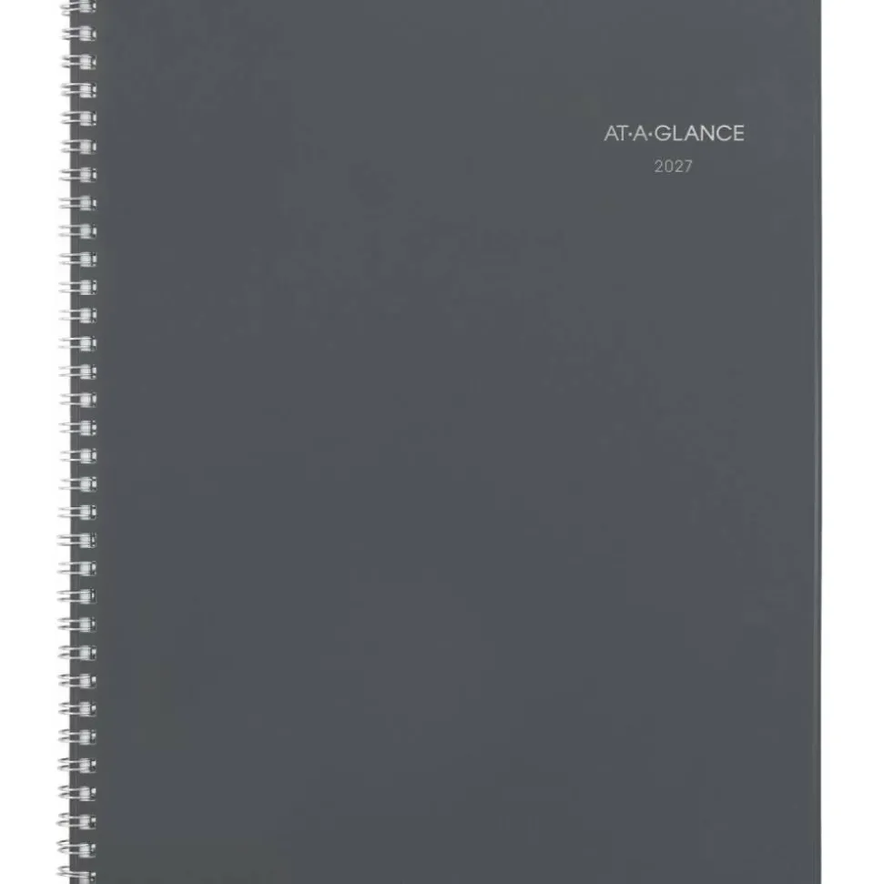 AT-A-GLANCE DayMinder 2027 Monthly Planner, Gray, Large, 8 1/2" x 11"