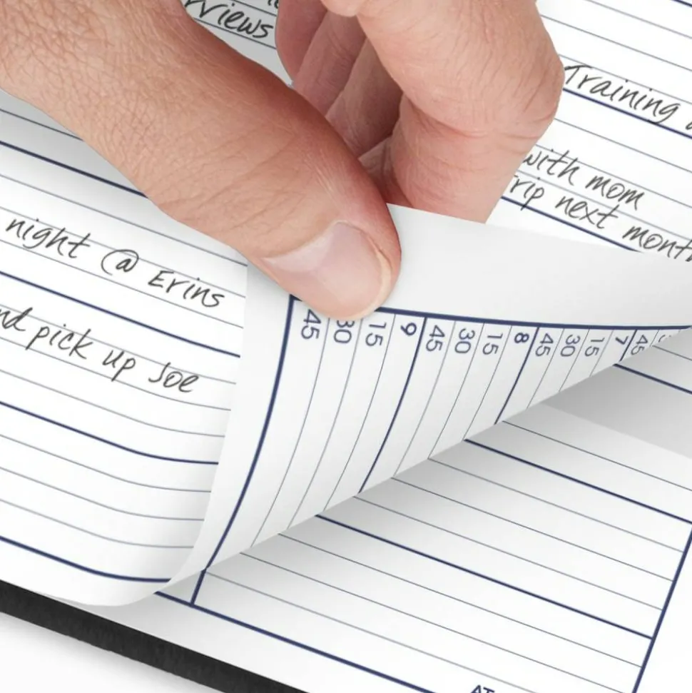 AT-A-GLANCE DayMinder Weekly Appointment Book, Vertical-Column Format, 11 x 8, Black Cover, 12-Month (Jan to Dec): 2027, 2027 Calendar