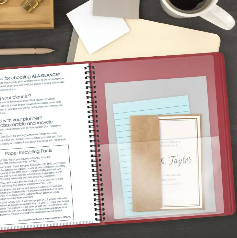 AT-A-GLANCE 2027 15-Month Monthly Planner, Red, Large, 9" x 11"